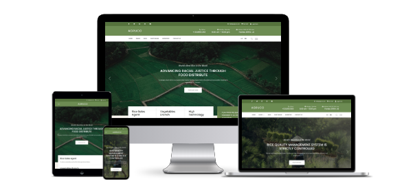 Mobile-friendly <em>responsive</em> designs