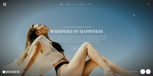Capture attention with stunning, <em>fully responsive sliders</em>