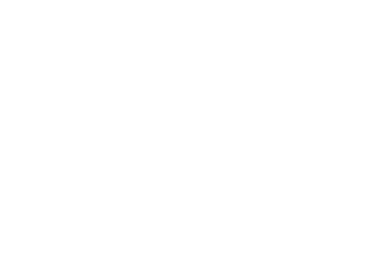 TZ Portfolio